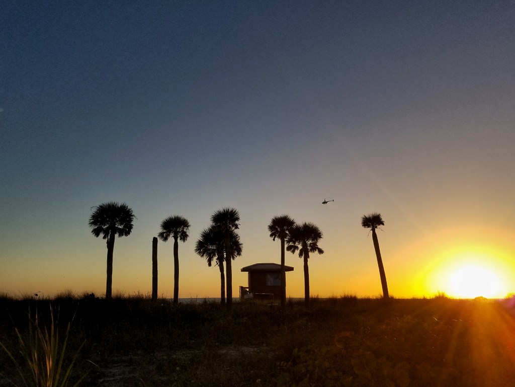 Silhouette of palm trees and lifeguard stand at sunset on Lido Beach in Sarasota, FL