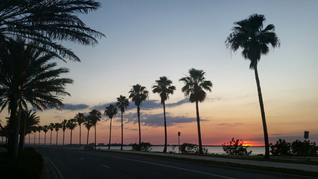 Ringling Causeway roadway lined with palm trees along a bay at sunset in Sarasota, Florida