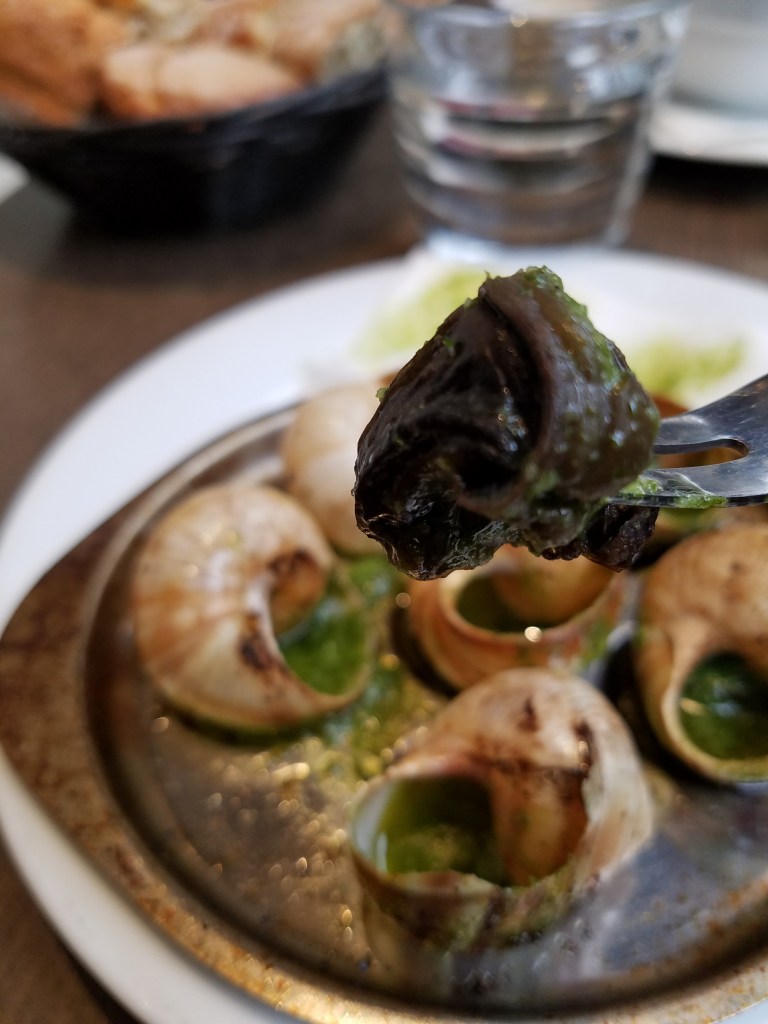 Escargot close up
