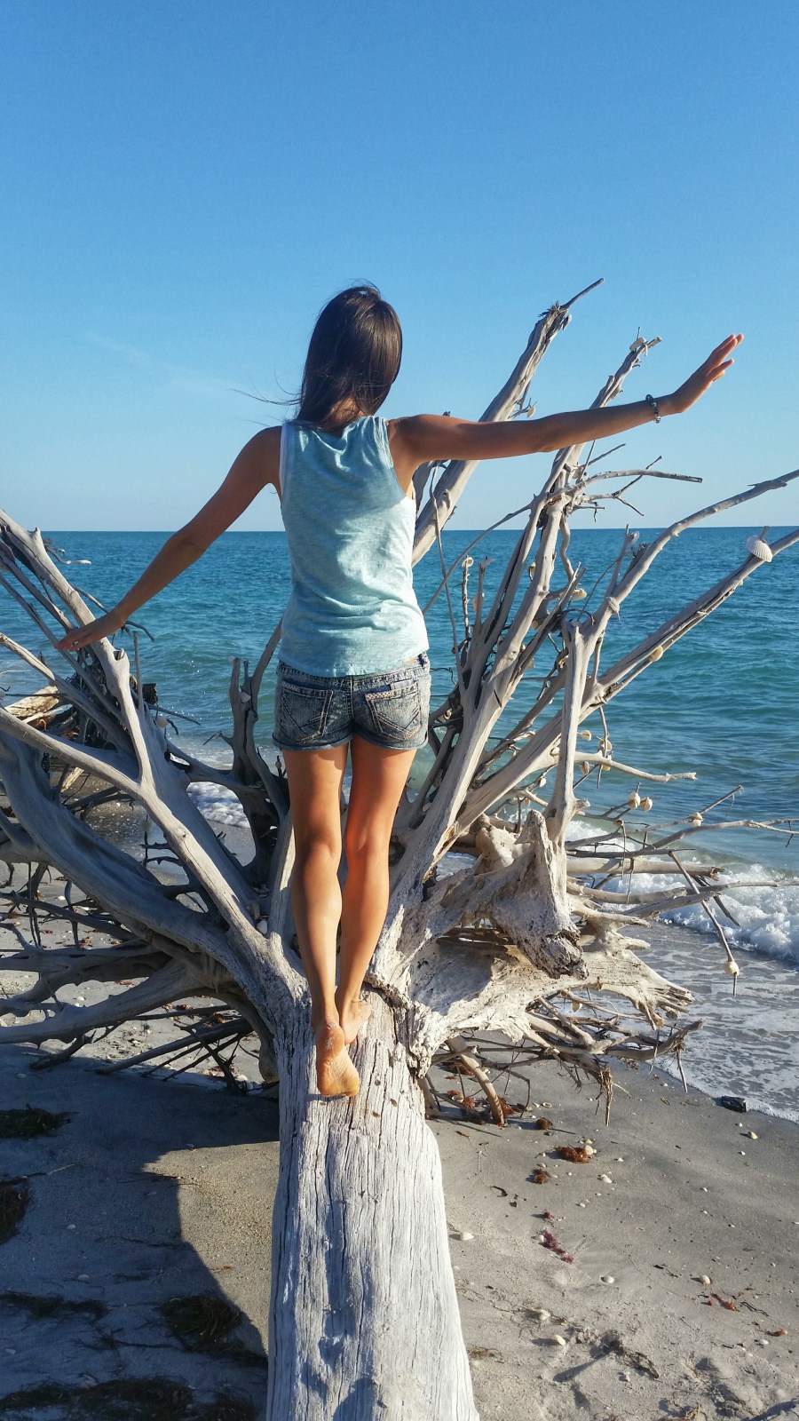 Woman walking on a fallen tree on the beach