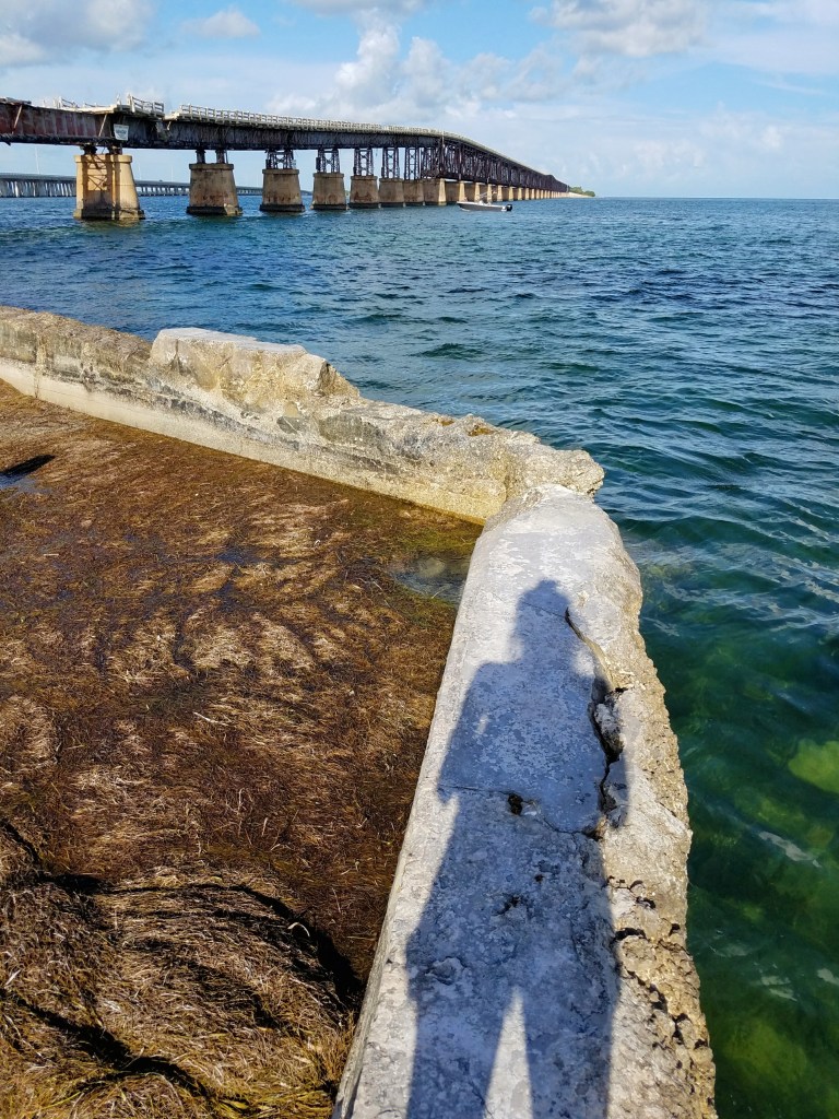Bahia Honda bridge in the Florida Keys