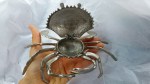 Metal crab