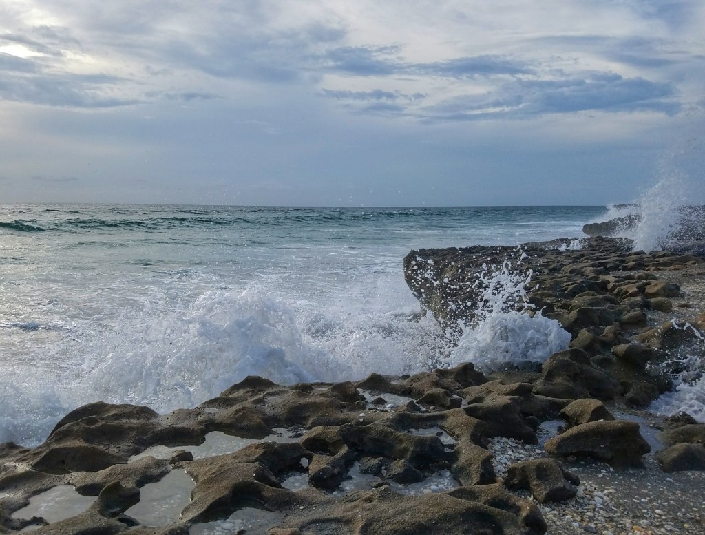 Wave splashing against limestone rock at Blowing Rocks Preserve on the Atlantic Coast of Florida