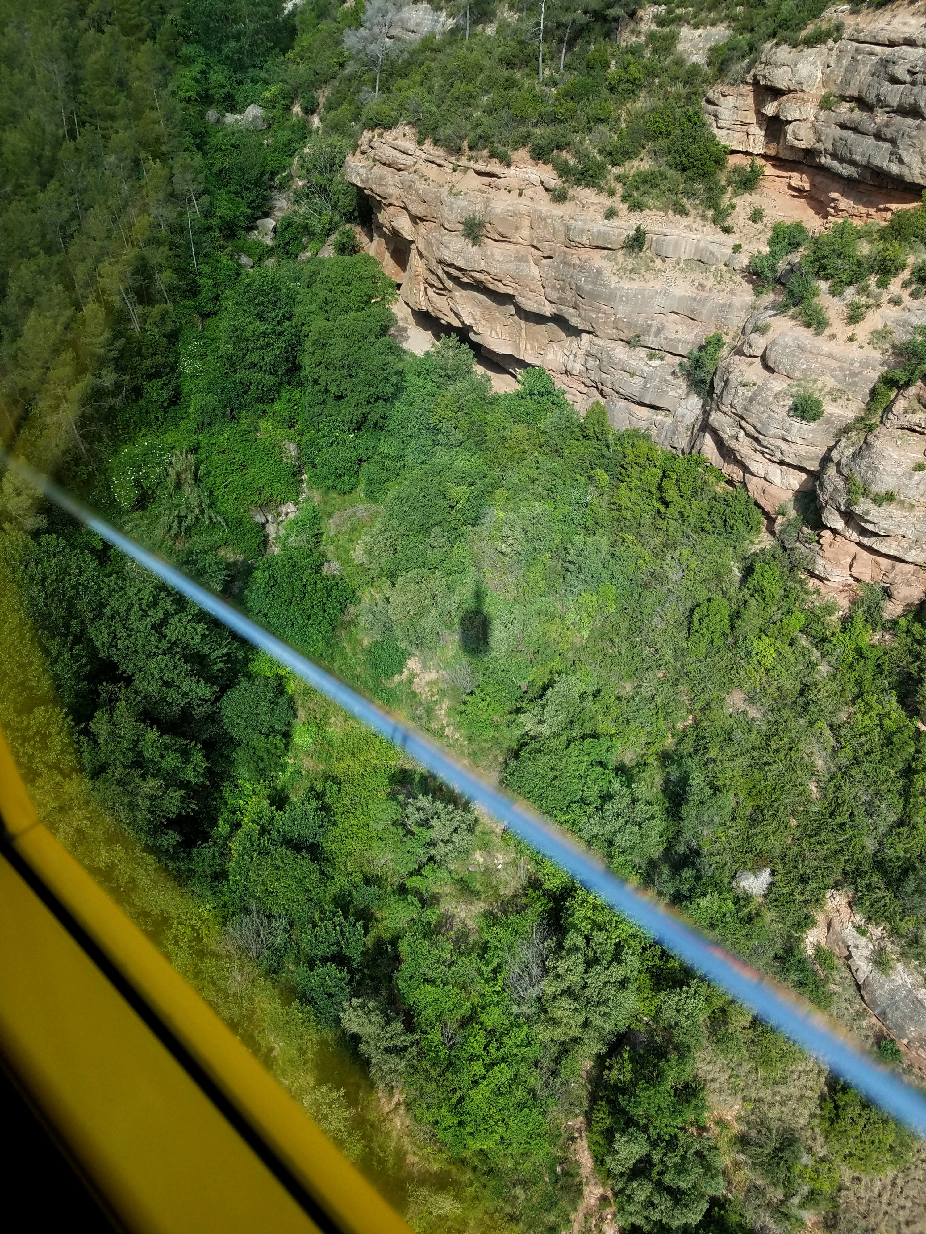 Shadow of a cable car in the trees