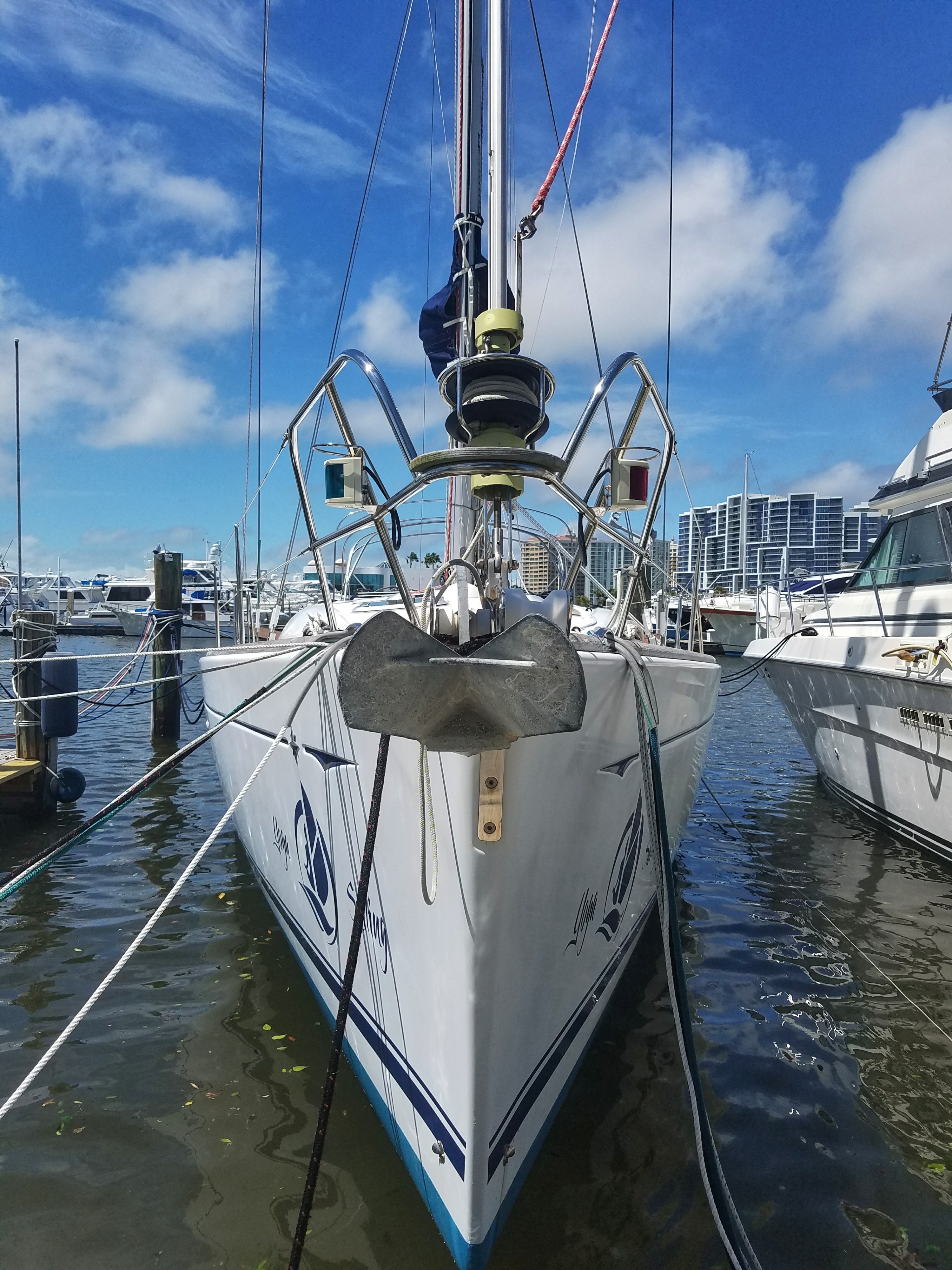 Sailboats in the Sarasota Marina