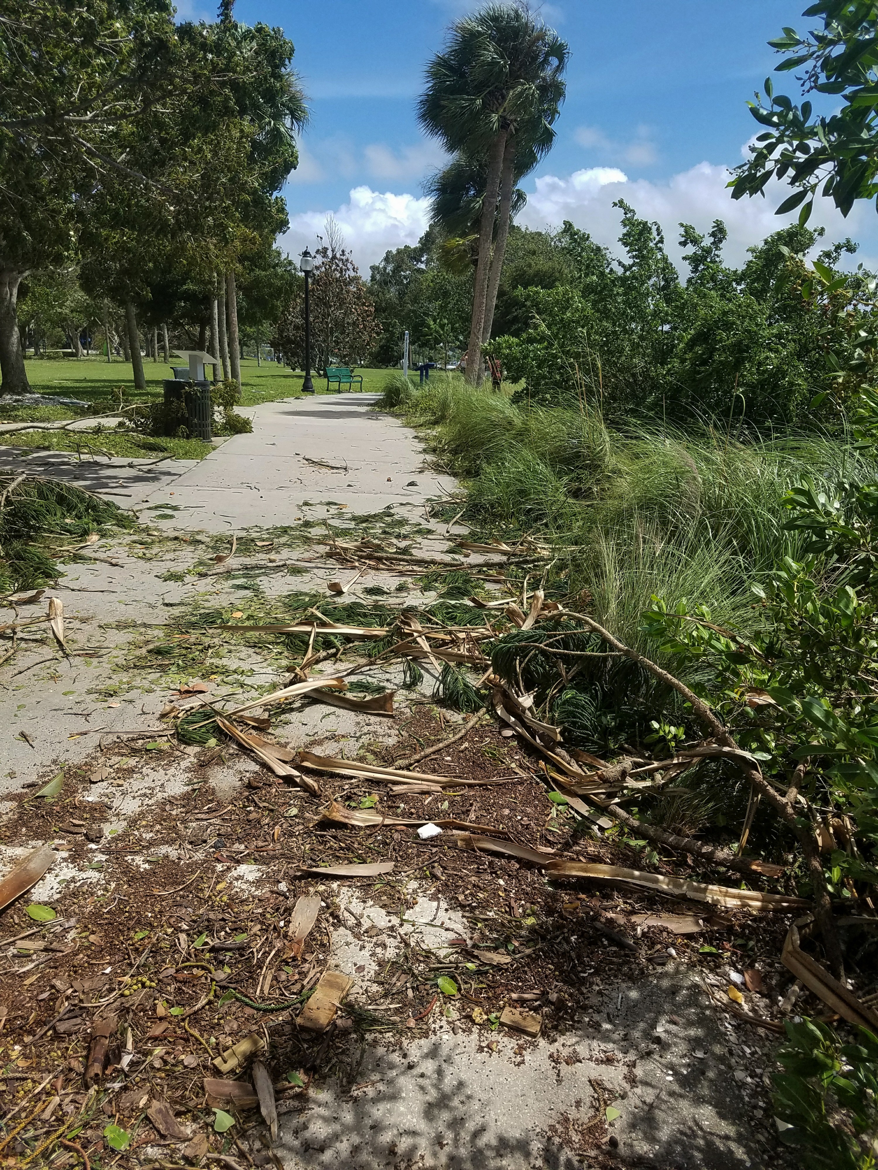 Hurricane debris at a park