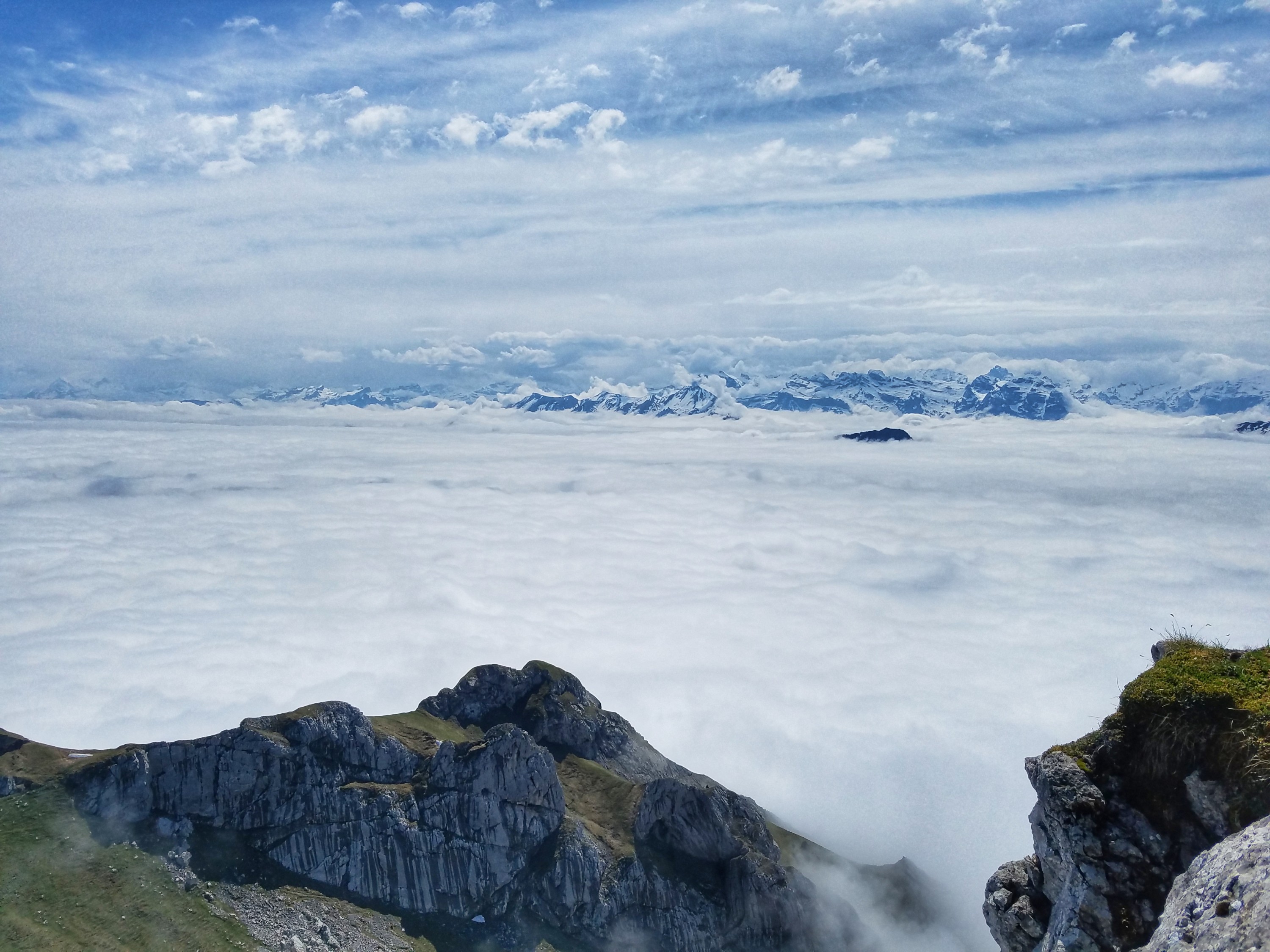View of the Swiss Alps above the clouds