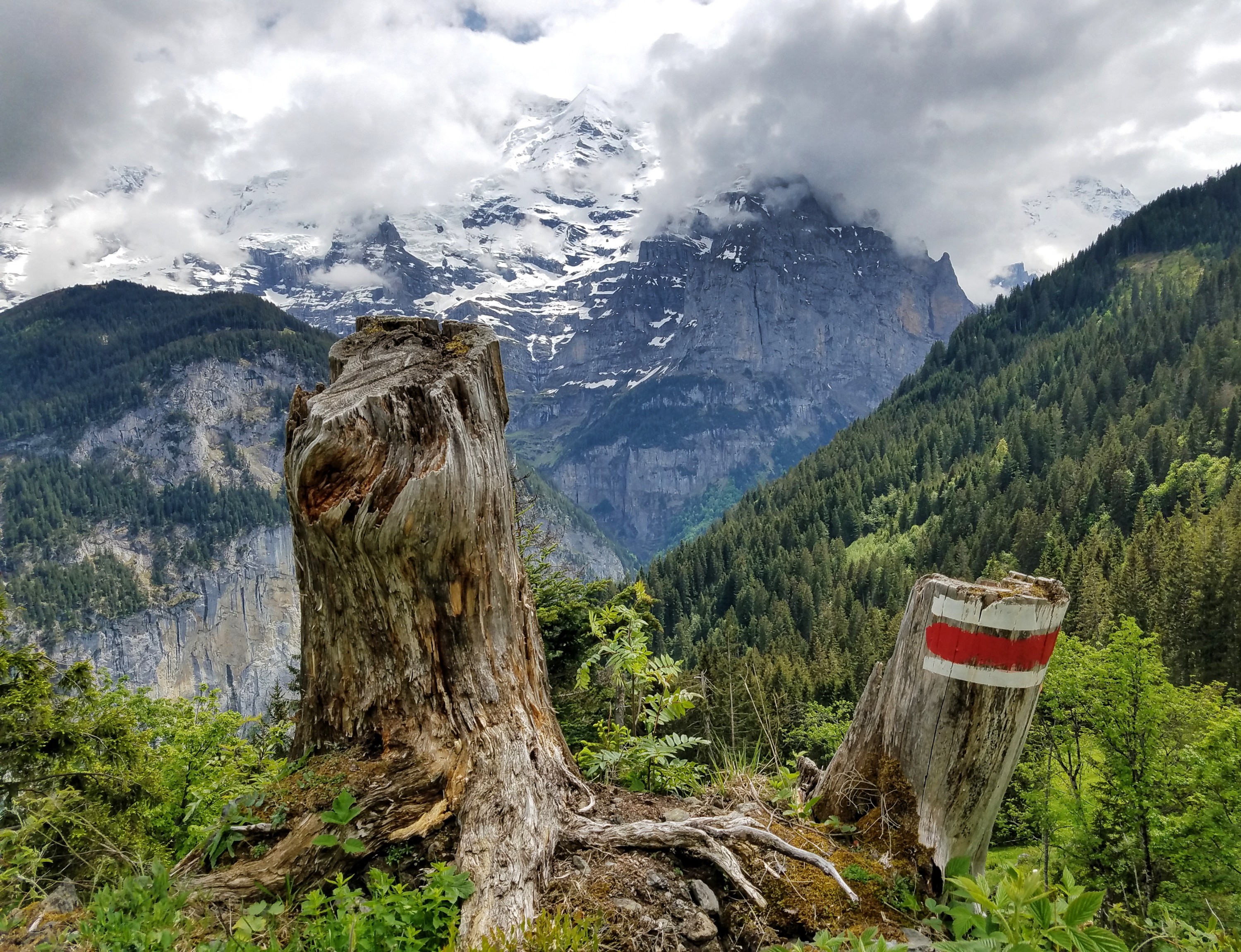 Trail markers in the Swiss Alps