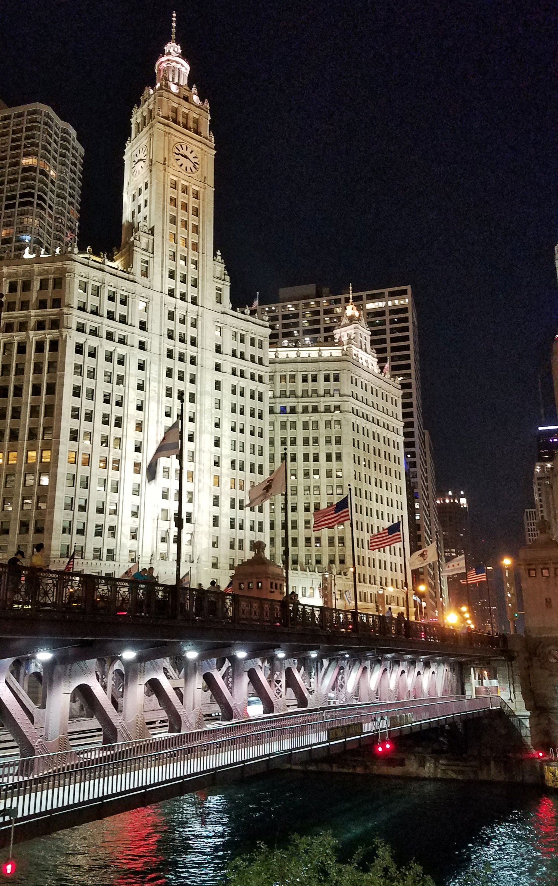Downtown Chicago buildings at night