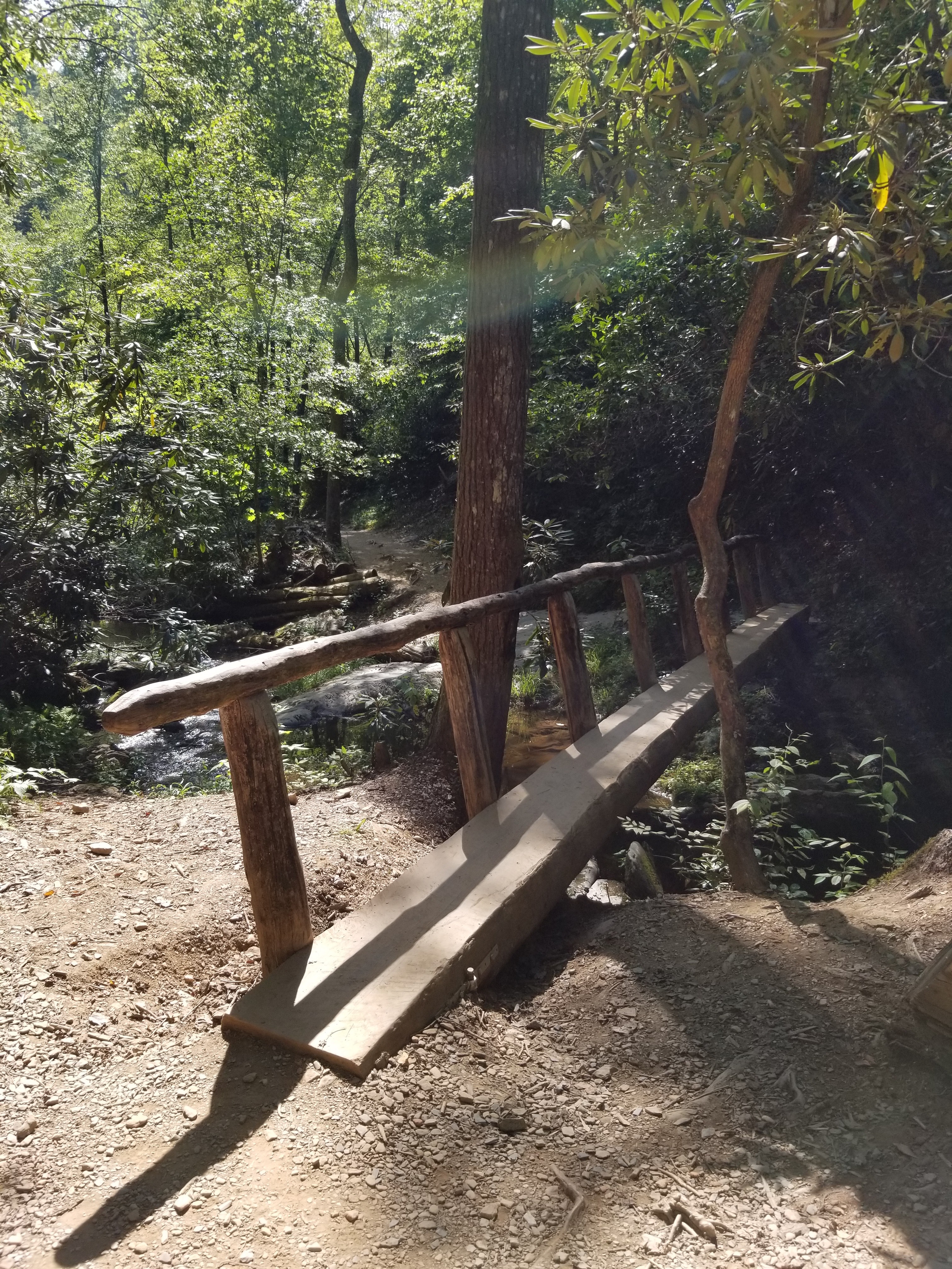 Log bridge in the woods