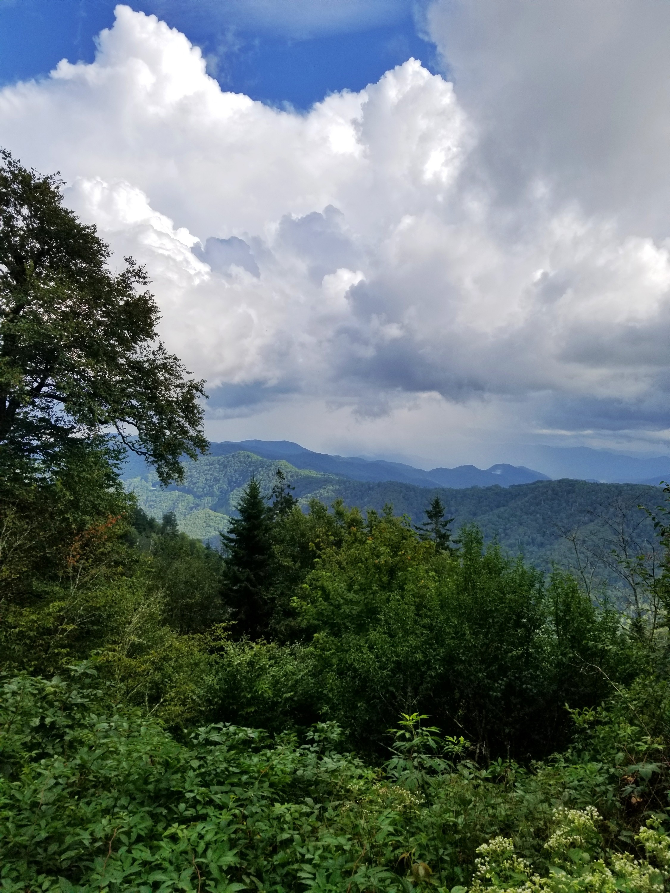 Smoky Mountains view