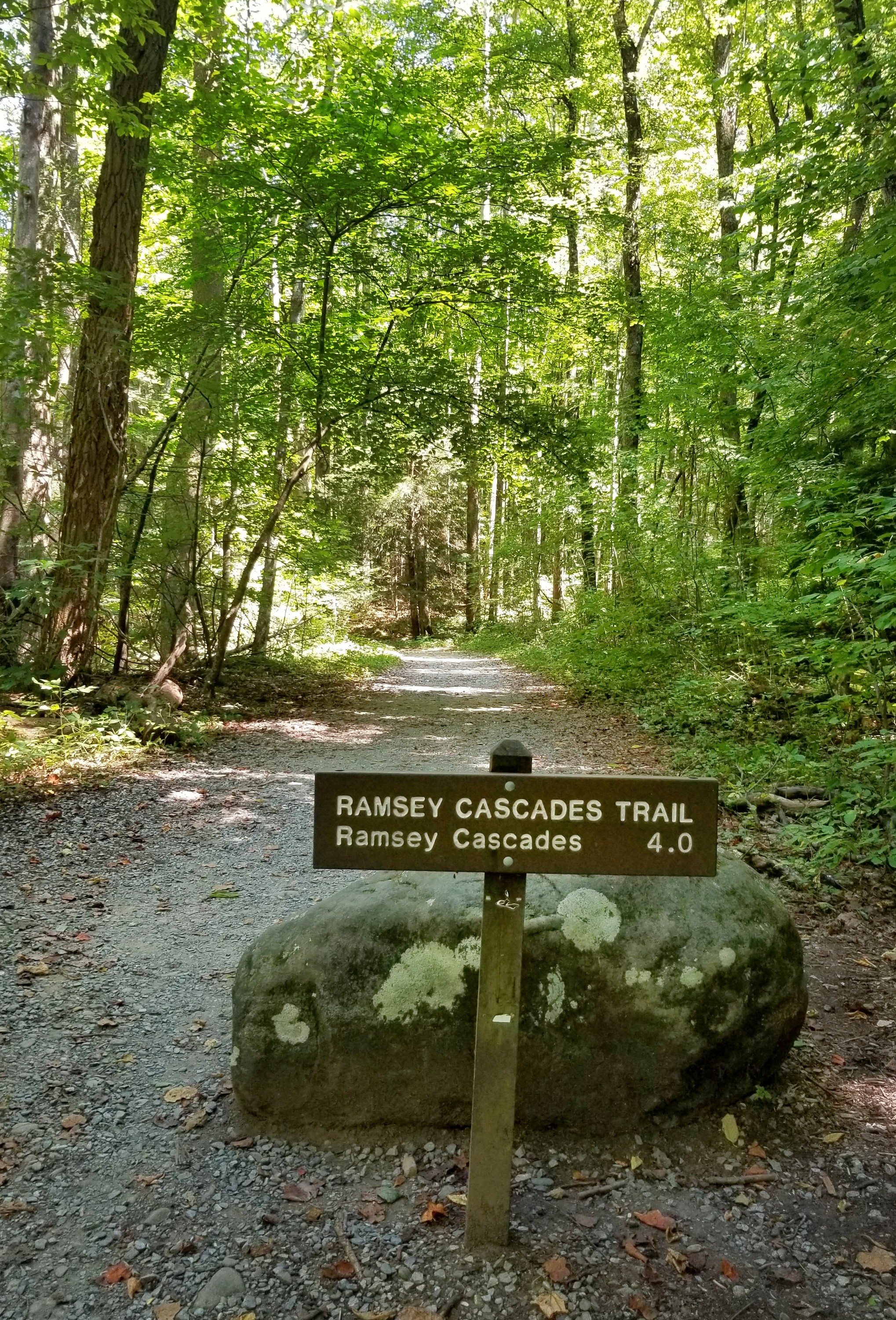 Wooden sign for Ramsey Cascades Trail