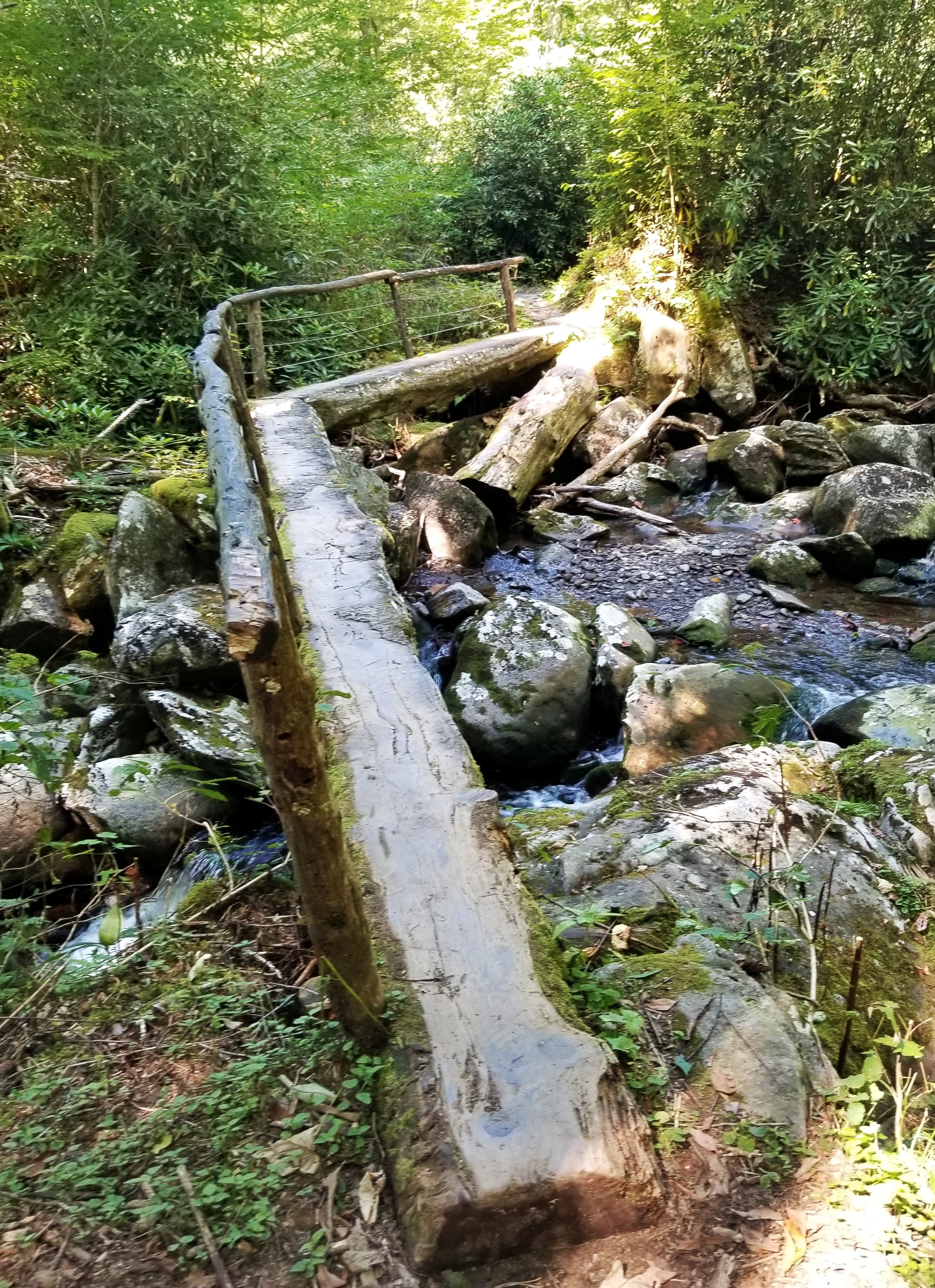 Wooden, narrow bridge over a river on a hiking trail