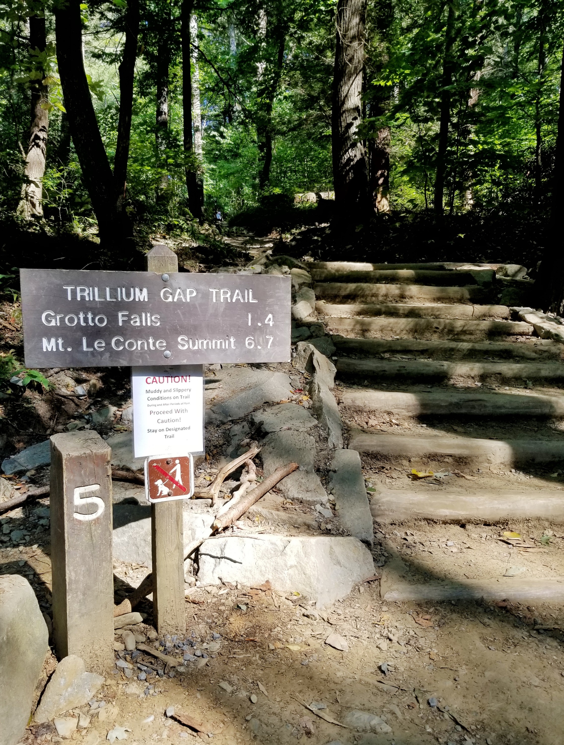 Trail sign for Trillium Gap Trail
