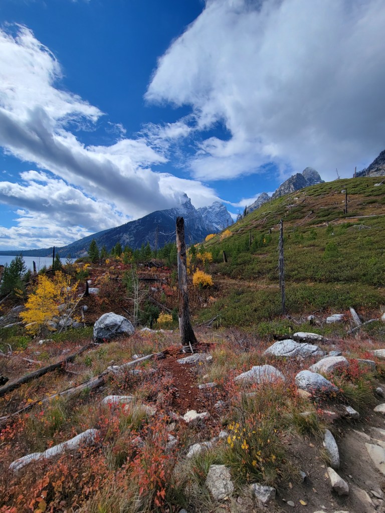 Jenny Lake Trail Grand Teton National Park 
