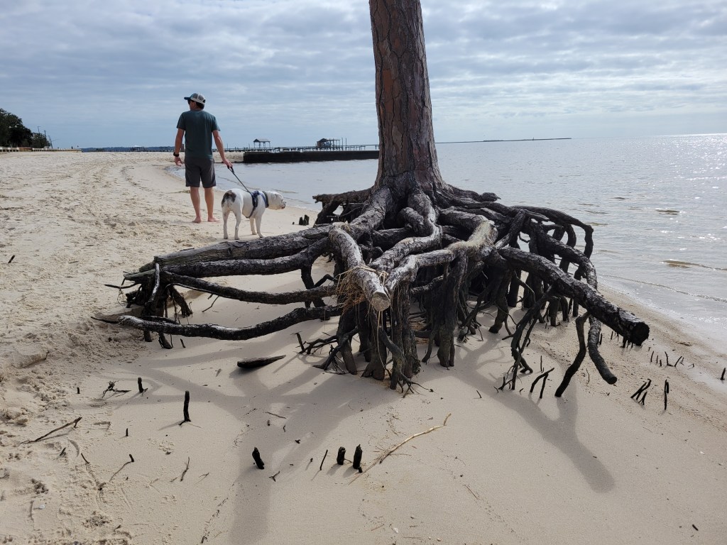 Man and dog on beach in Mississippi