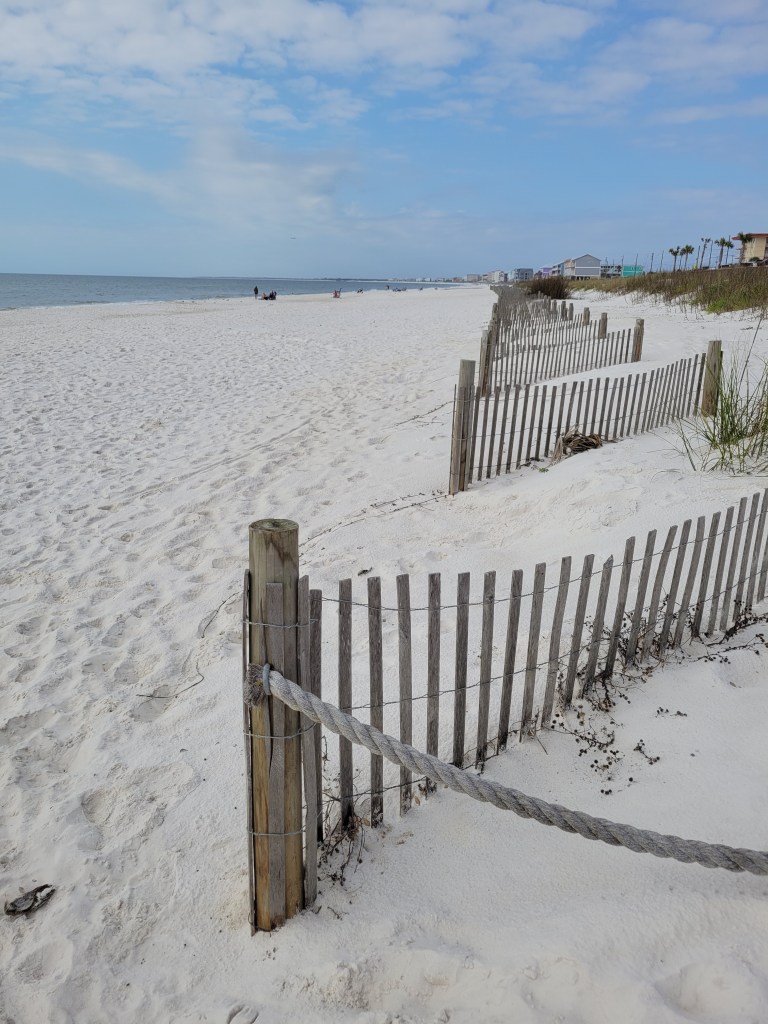 Beach dune fences along Mexico Beach, Florida