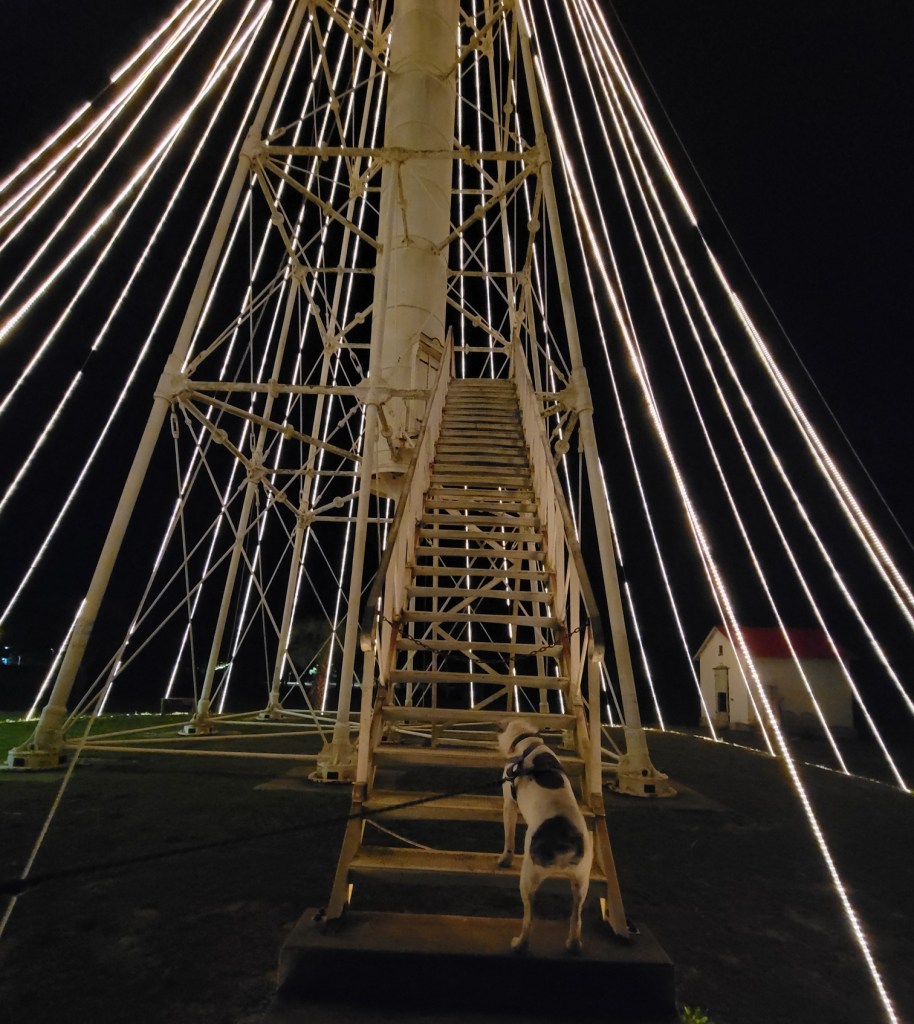 Dog climbing lighthouse steps