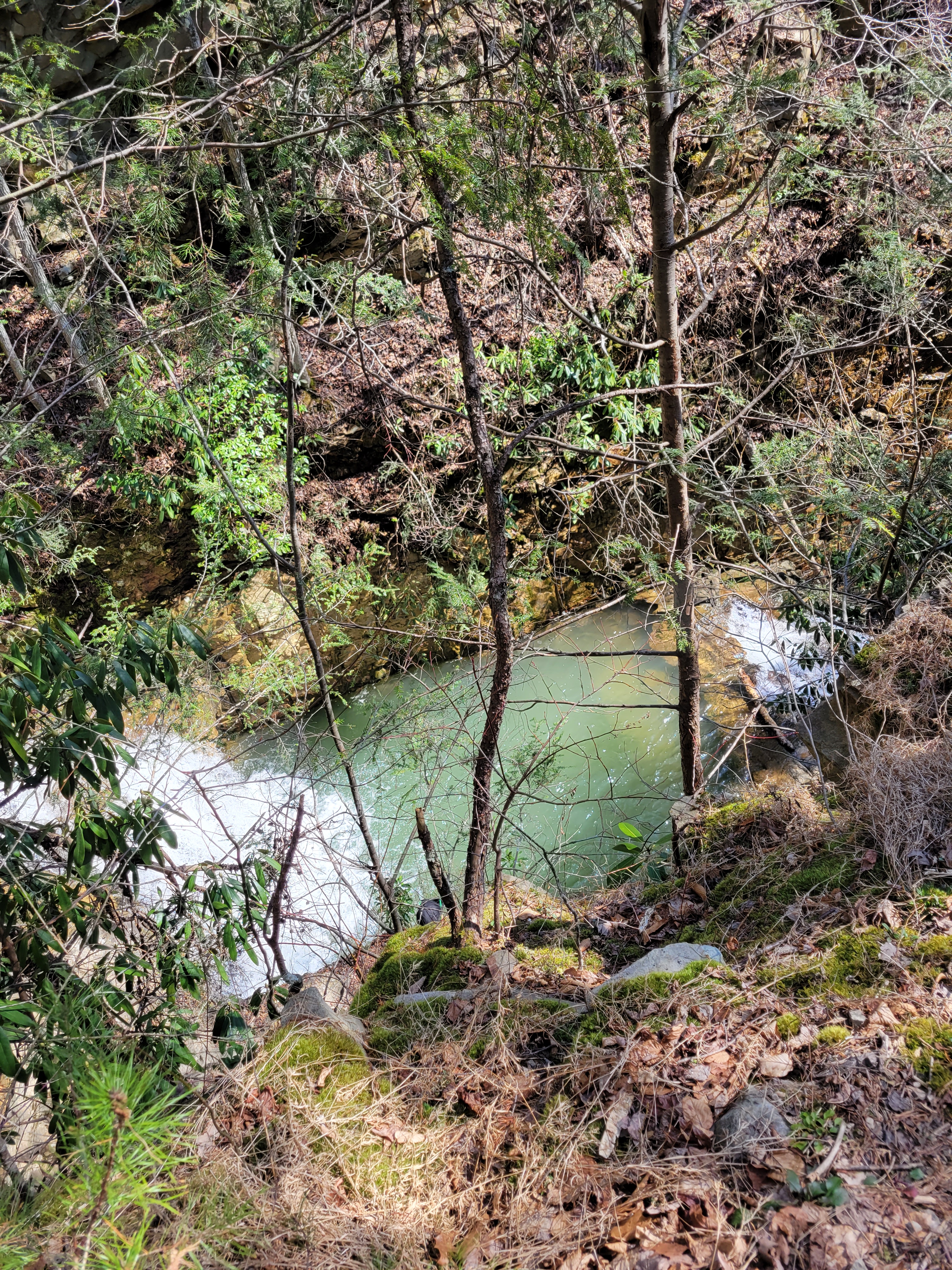 Waterfall pool through the trees