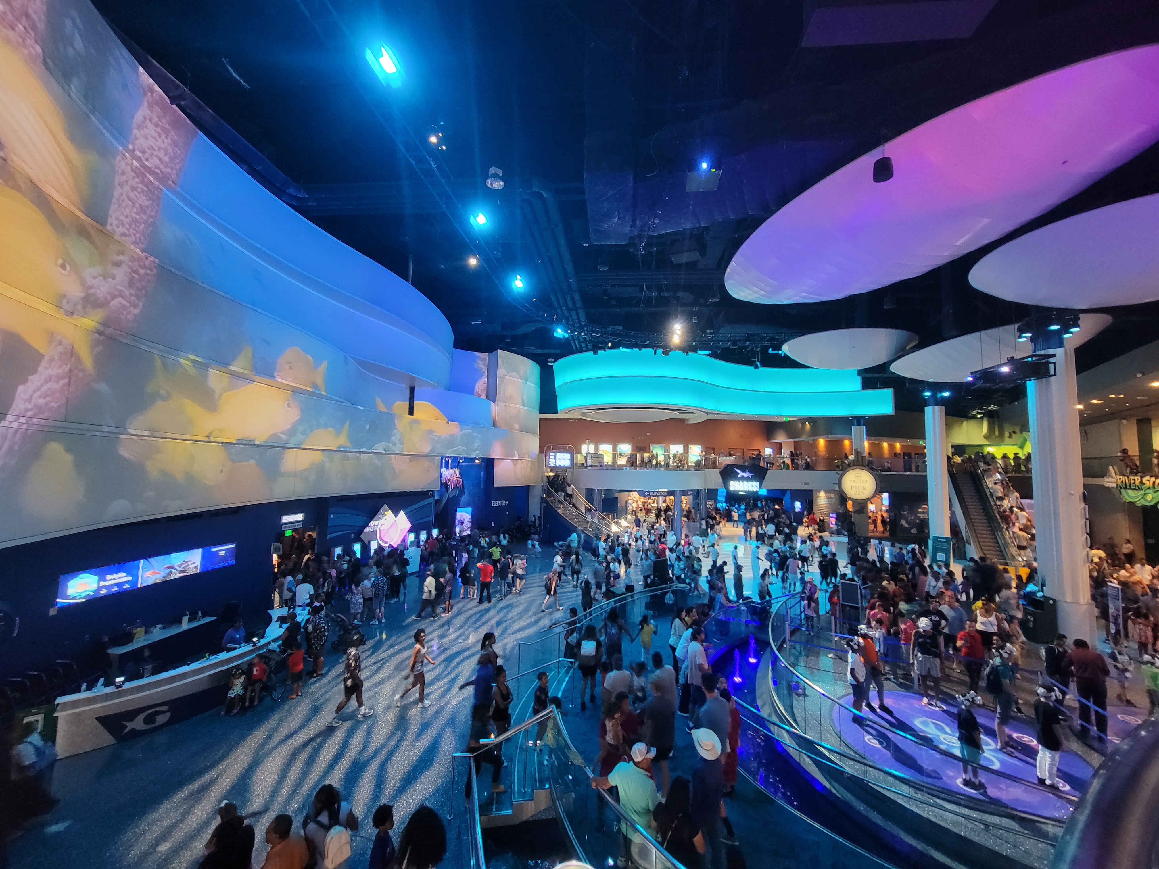 Georgia Aquarium Atlanta inside