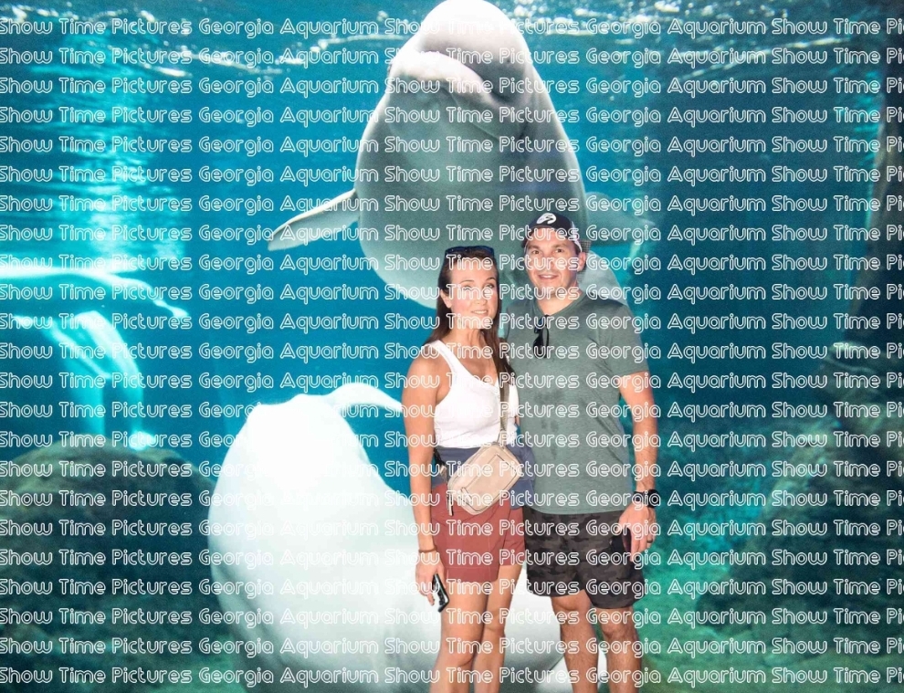Woman and man standing in front of a beluga whale greenscreen, with a watermark over the photo.