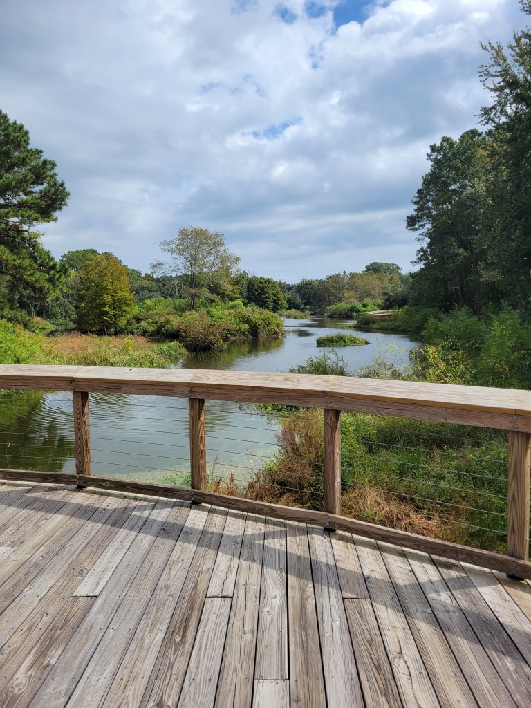 Cypress Wetlands boardwalk in Port Royal South Carolina