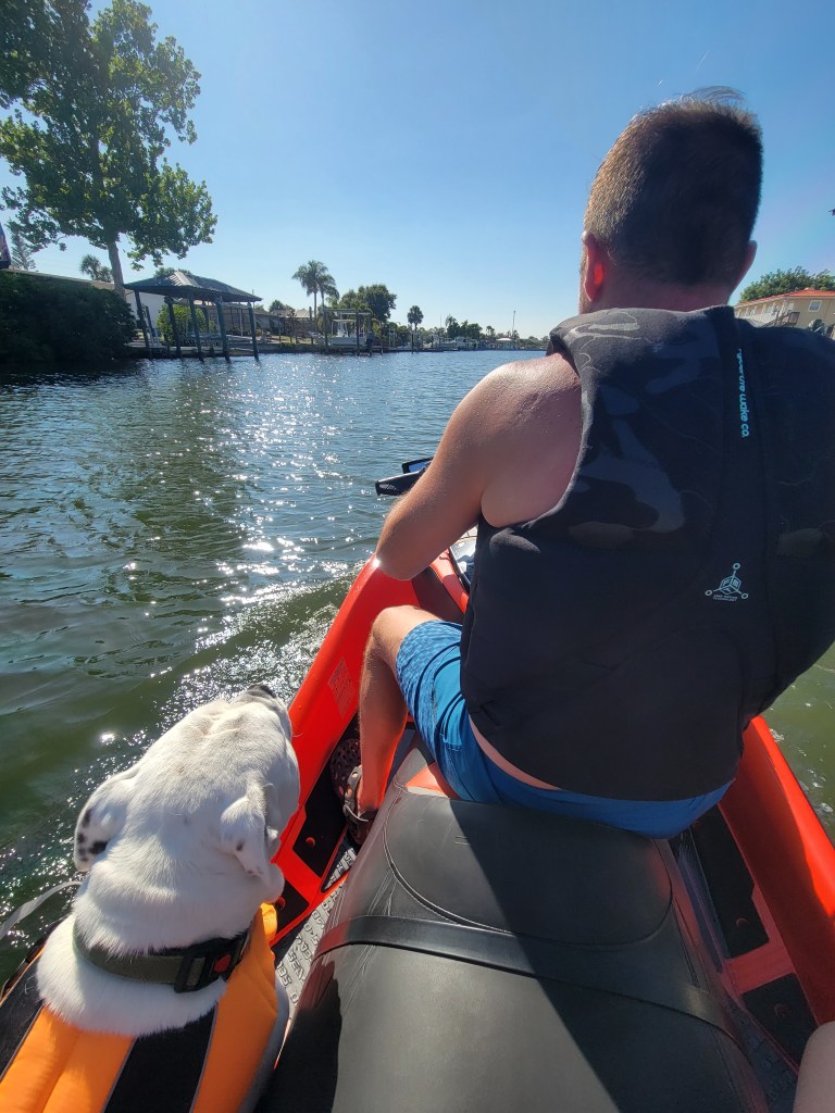 Man riding a jet ski with a dog