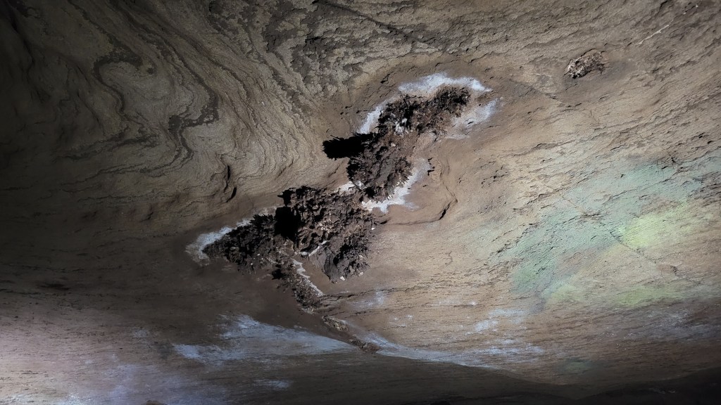 "Cave flowers" in the ceiling of a cave