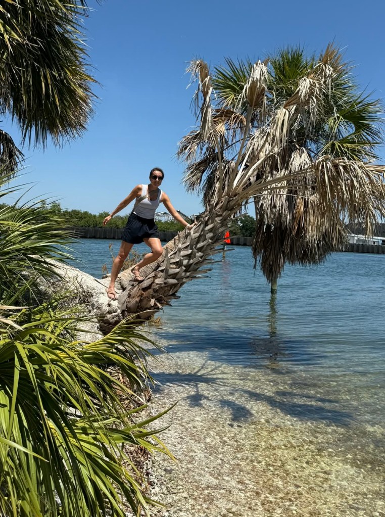 Woman climbing a falling palm tree over the water 