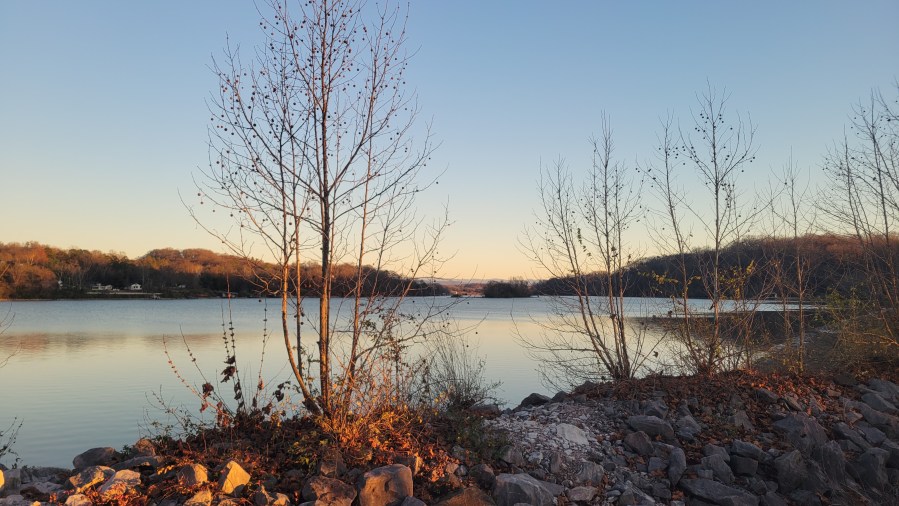 Lake in the winter